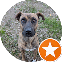 Charlie Baker Profile Picture