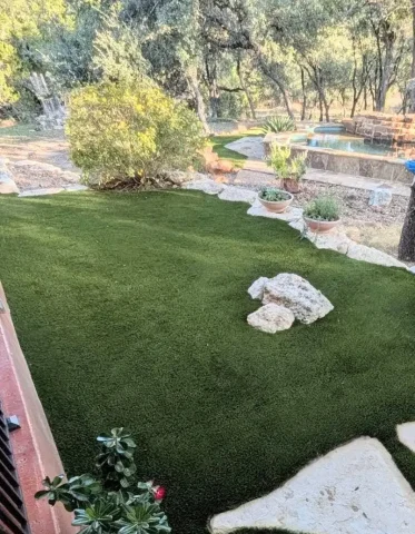 Marys Grass